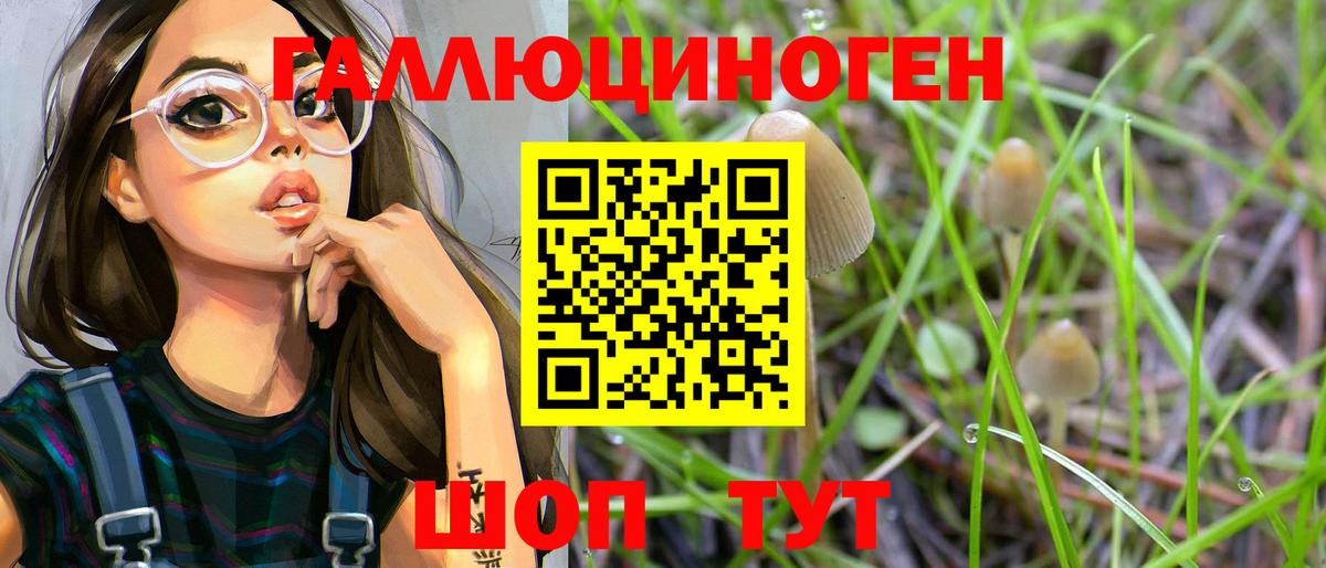 Псилоцибиновые грибы Psilocybine cubensis Калач-на-Дону
